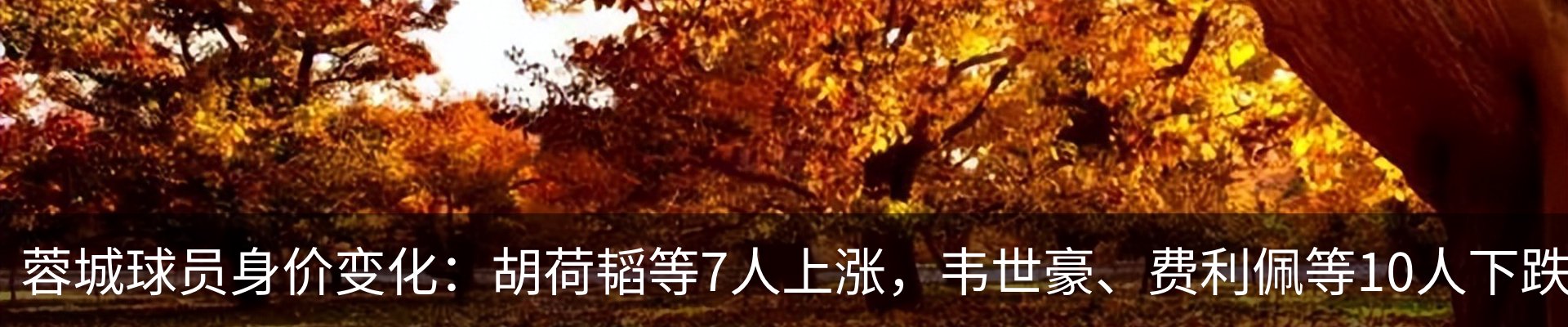 最新动态